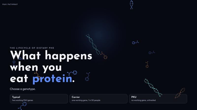 What happens when you eat protein: choose a genotype